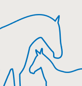 kachelnavi supplemente zucht